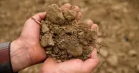 Terra Emergente
