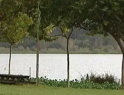 Economia Verde