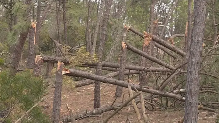 Governo aprova 1,4 milhões de euros para municípios afetados pela tempestade Leslie