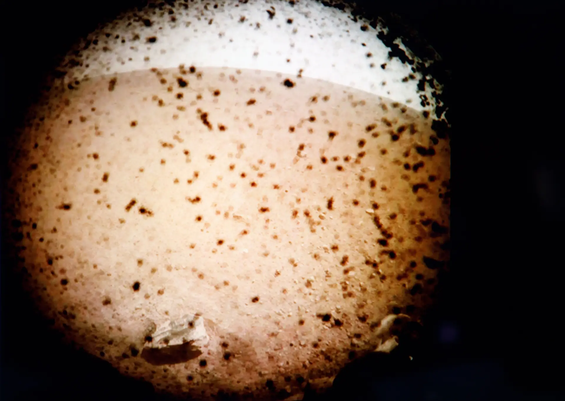 Primeira fotografia tirada pela sonda InSight.