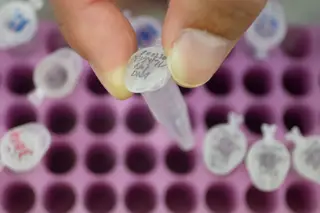 "O mundo não está preparado para manipulação genética em bebés" alertam cientistas