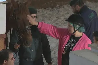 Deficiência é o 2.º motivo mais apontado para discriminação em Portugal