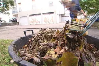 As respostas de Portugal a quem tem deficiência e atinge os 18 anos