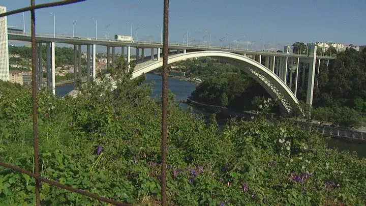 Tribunal do Porto decide contra imobiliária da família de Rui Moreira sobre terreno na Arrábida