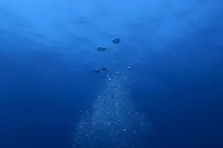 Temperatura dos oceanos aumenta mais do que se pensava