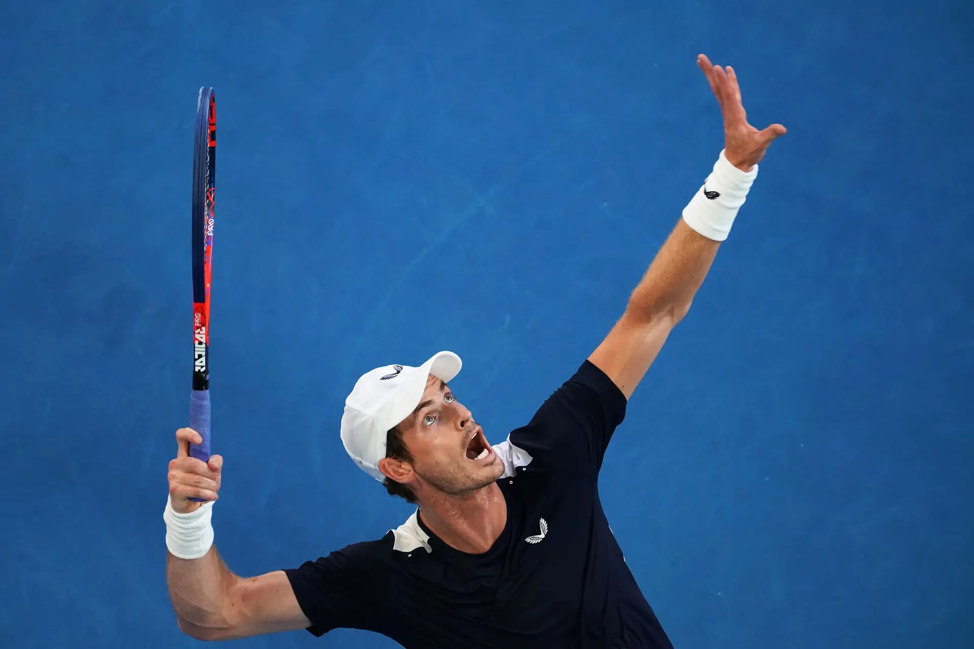 Andy Murray Open Austrália