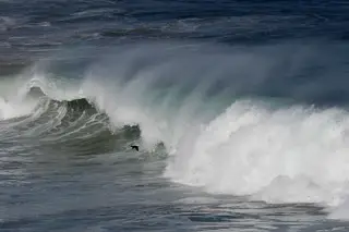 Alterações climáticas vão mudar cor dos oceanos