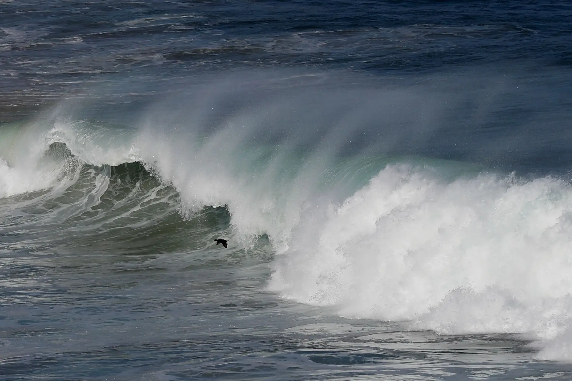 Alterações climáticas vão mudar cor dos oceanos