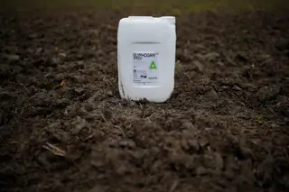 Glifosato: controvérsia persistente