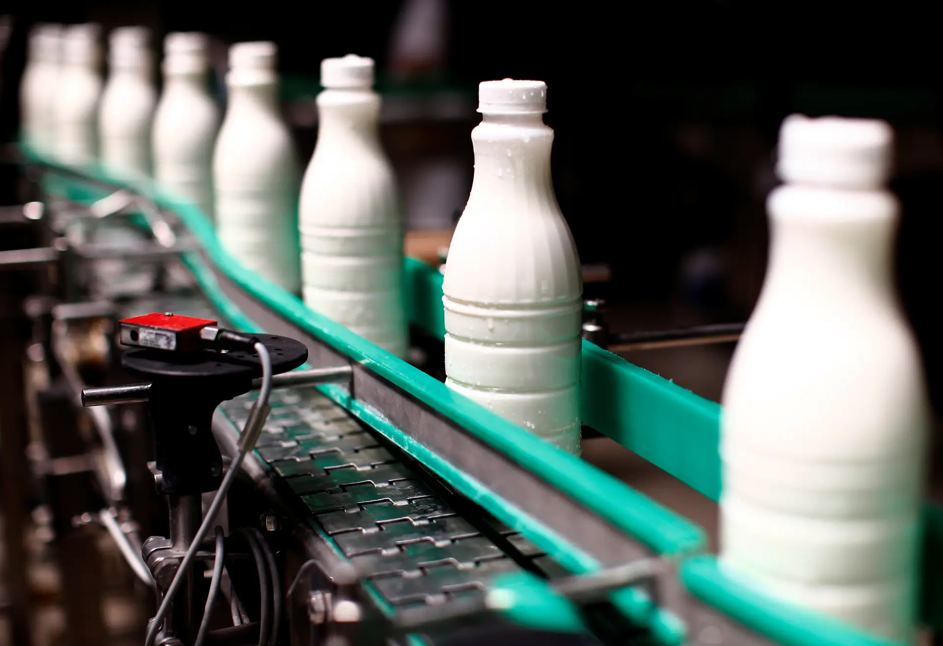 Retirar leite da alimentação sem intolerância à lactose traz riscos