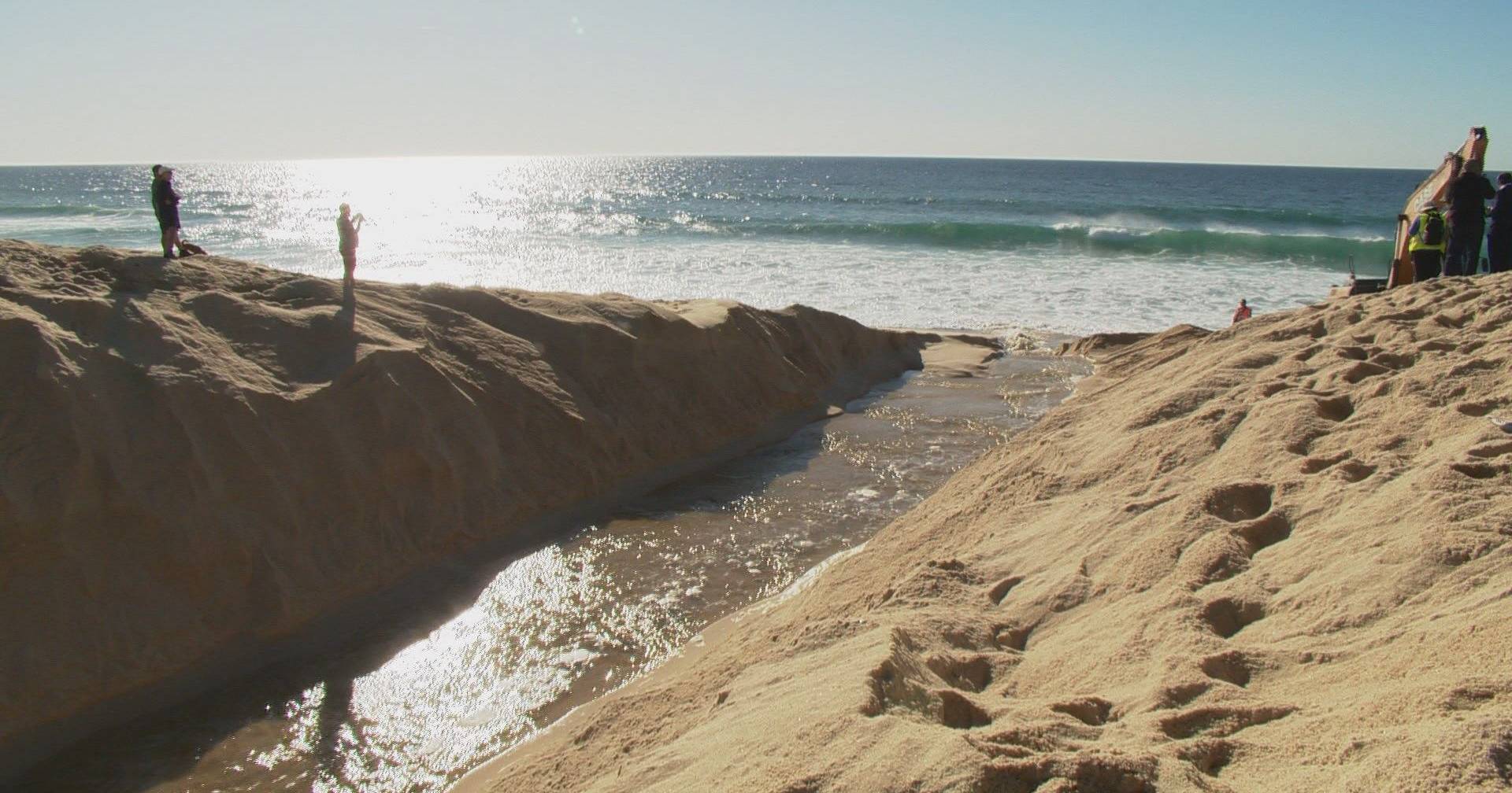 Lagoa de Santo André aberta ao mar para renovação da água - SIC Notícias