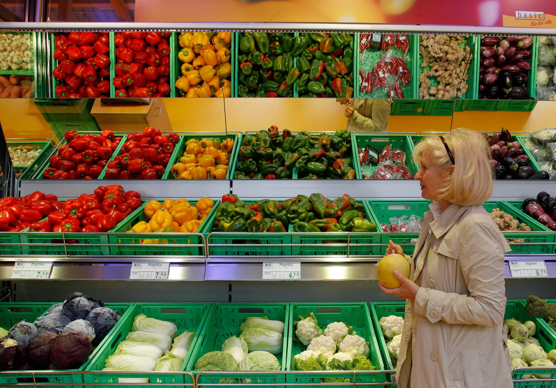 Molde Do Projeto Do Alimento Biológico Produto-vegetais Frescos De