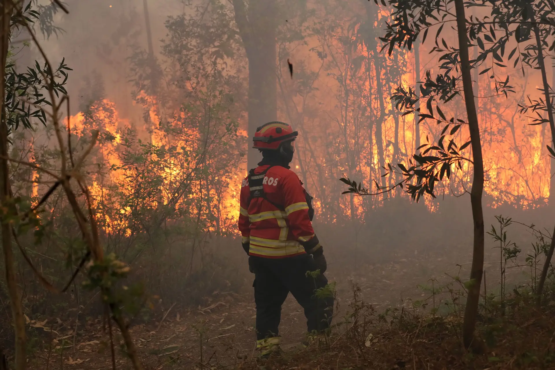 Governo declara situação de alerta entre quarta e domingo devido ao risco de incêndio