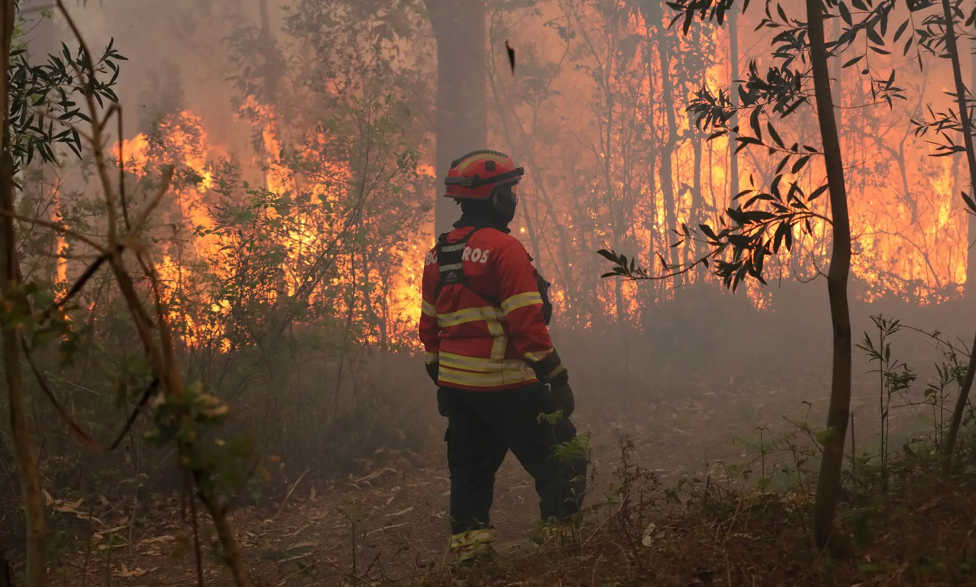 Mais de dois mil incêndios desde o início do ano