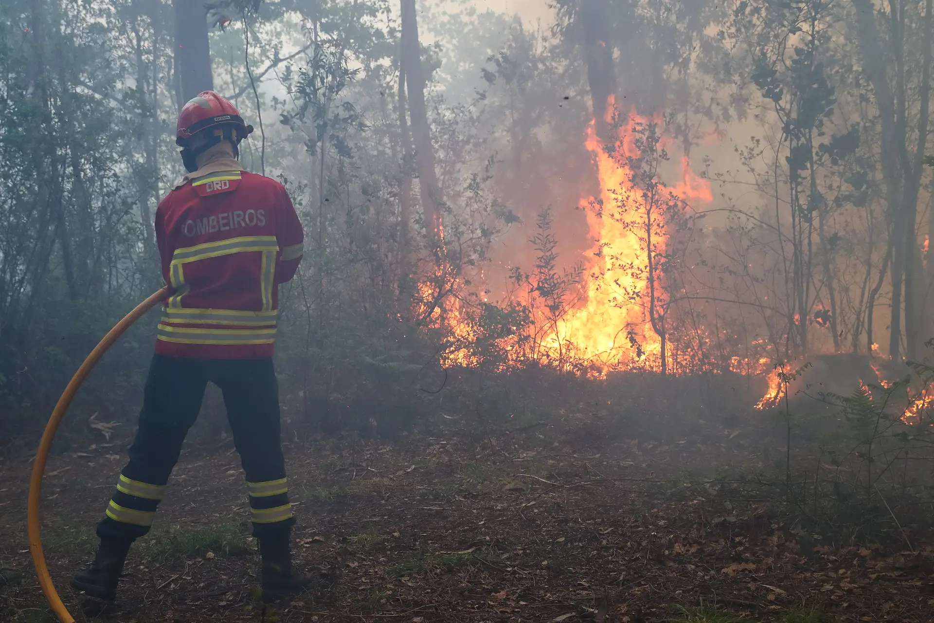 Dominado fogo em Oliveira de Azeméis que chegou a envolver mais de 400 operacionais
