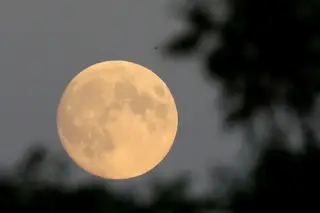 Nova missão tripulada na Lua será feita no feminino em 2024