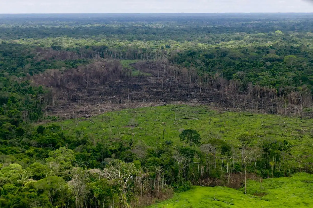 Destruição da natureza é ameaça tão grave como as aterações climáticas
