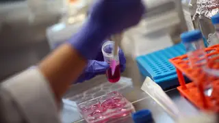 Teste genético previne cancro do ovário
