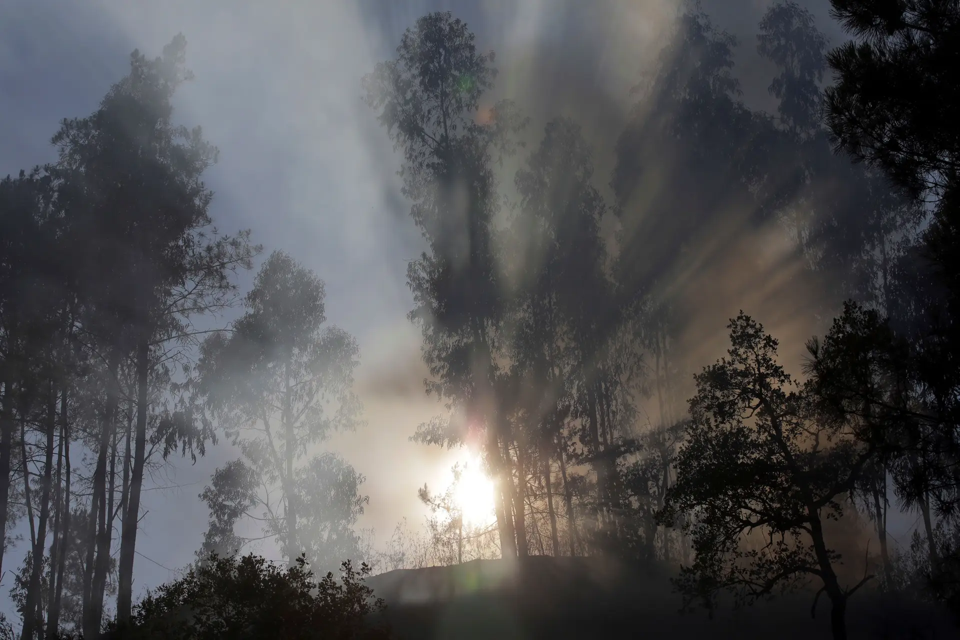 Risco máximo de incêndio em 4 concelhos e mais de 50 em risco elevado ou muito elevado
