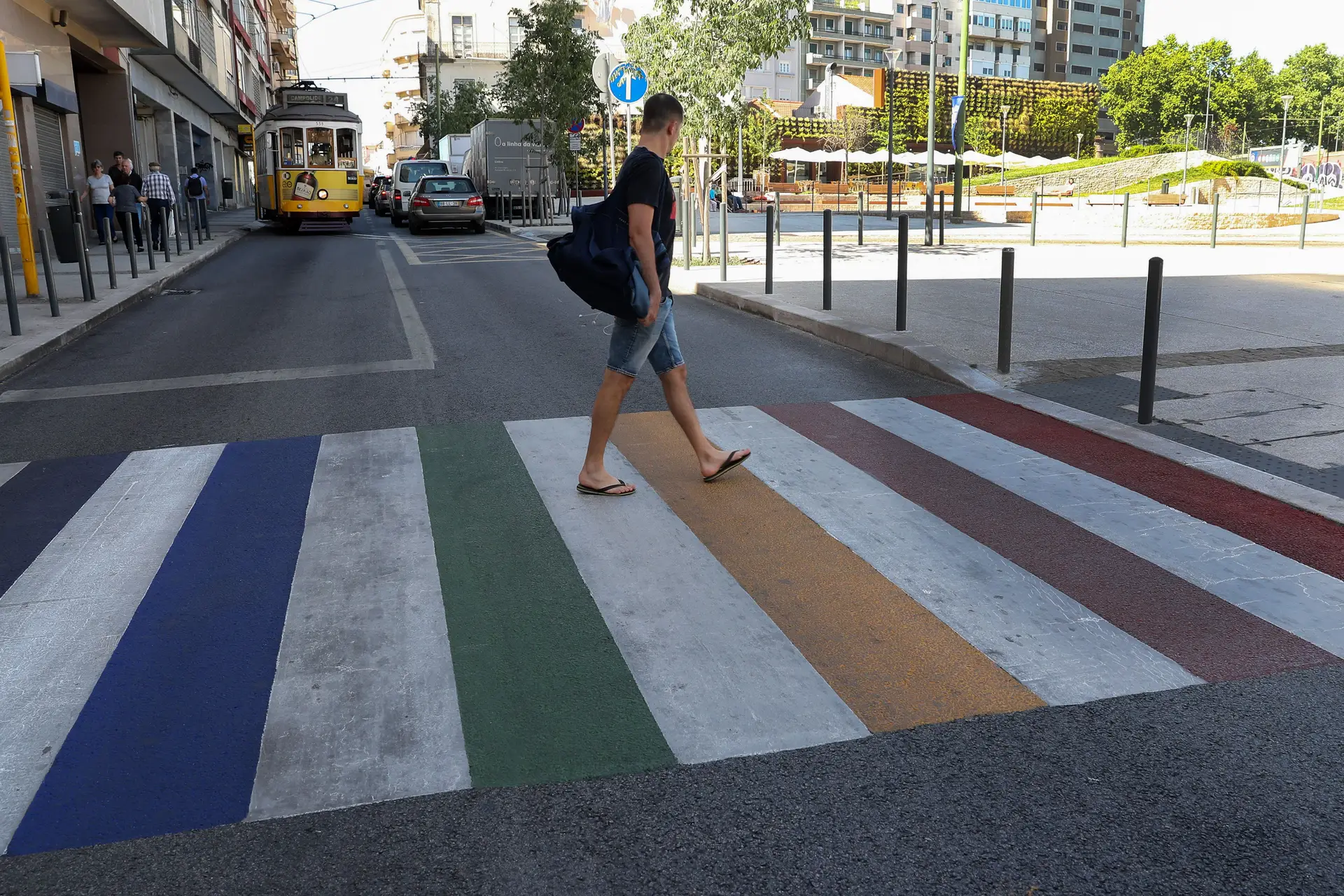 Autoridade de segurança rodoviária recomenda remoção de passadeiras "arco-íris"