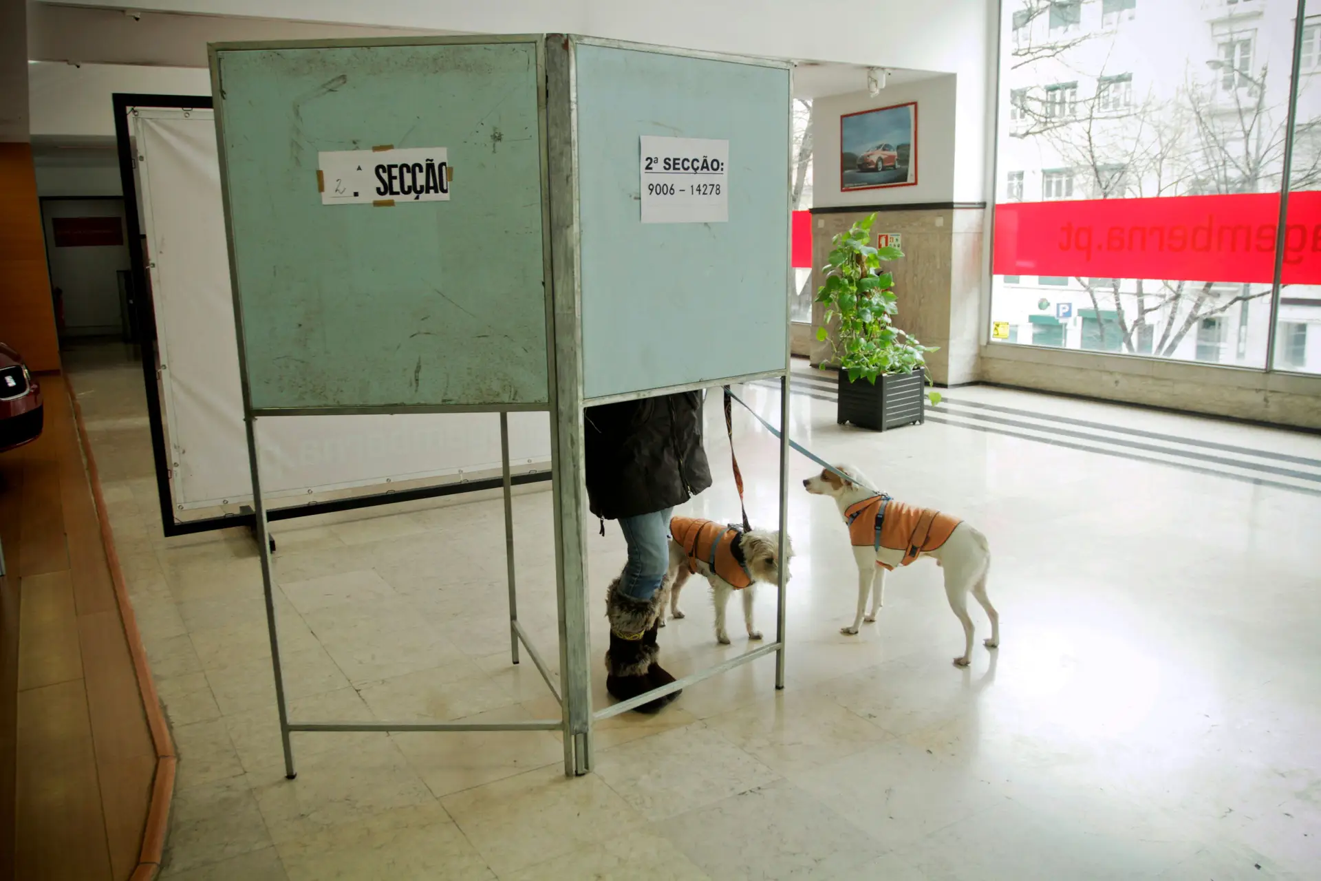 Mais de 9 mil eleitores portugueses já se inscreveram para votar antecipadamente