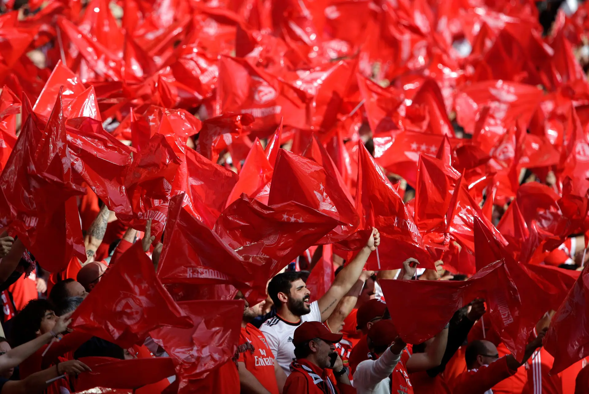 Baixa do Funchal pintada de vermelho com milhares de benfiquistas