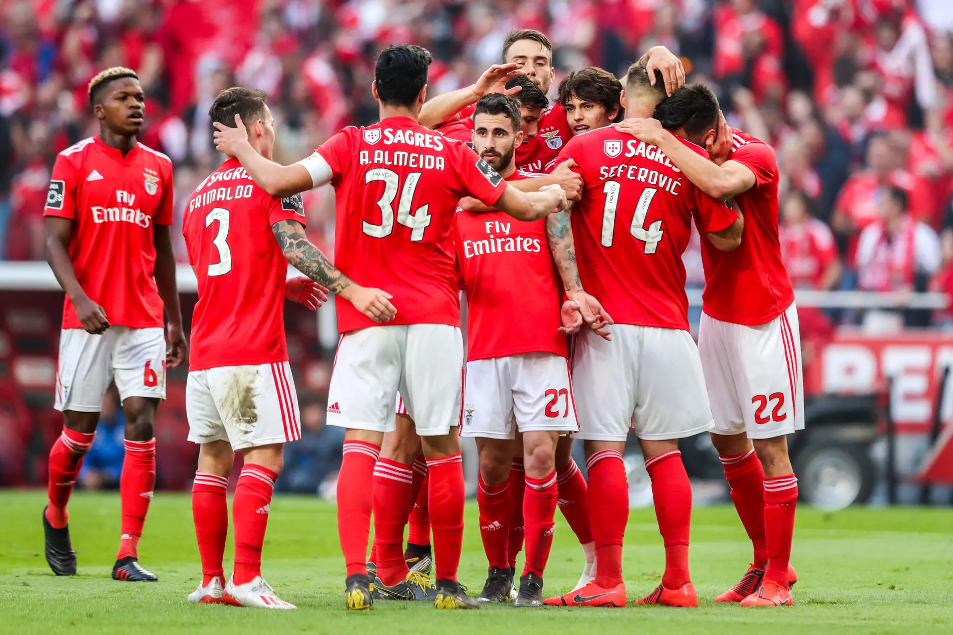Benfica tem cinco particulares agendados para a pré-temporada 2019/2020