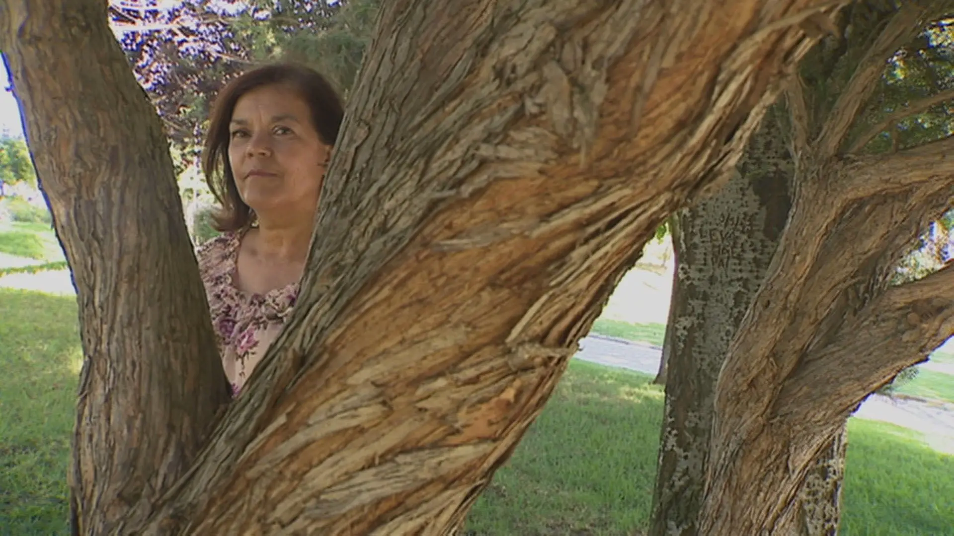 Uma em cada 5 pessoas tem ou vai sofrer de doença mental