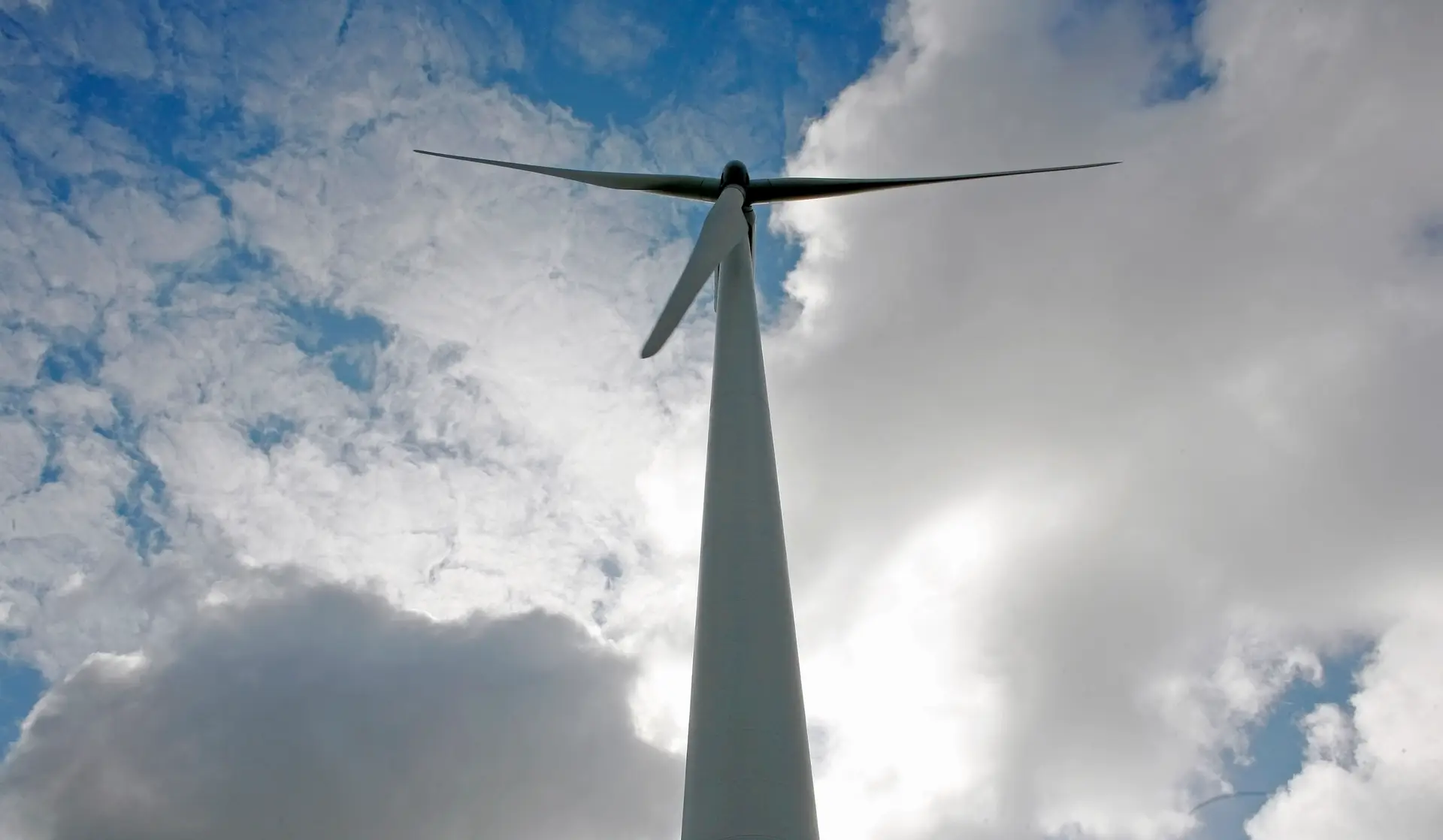 Portugal deve tornar ambição climática numa realidade nacional, apela a Quercus