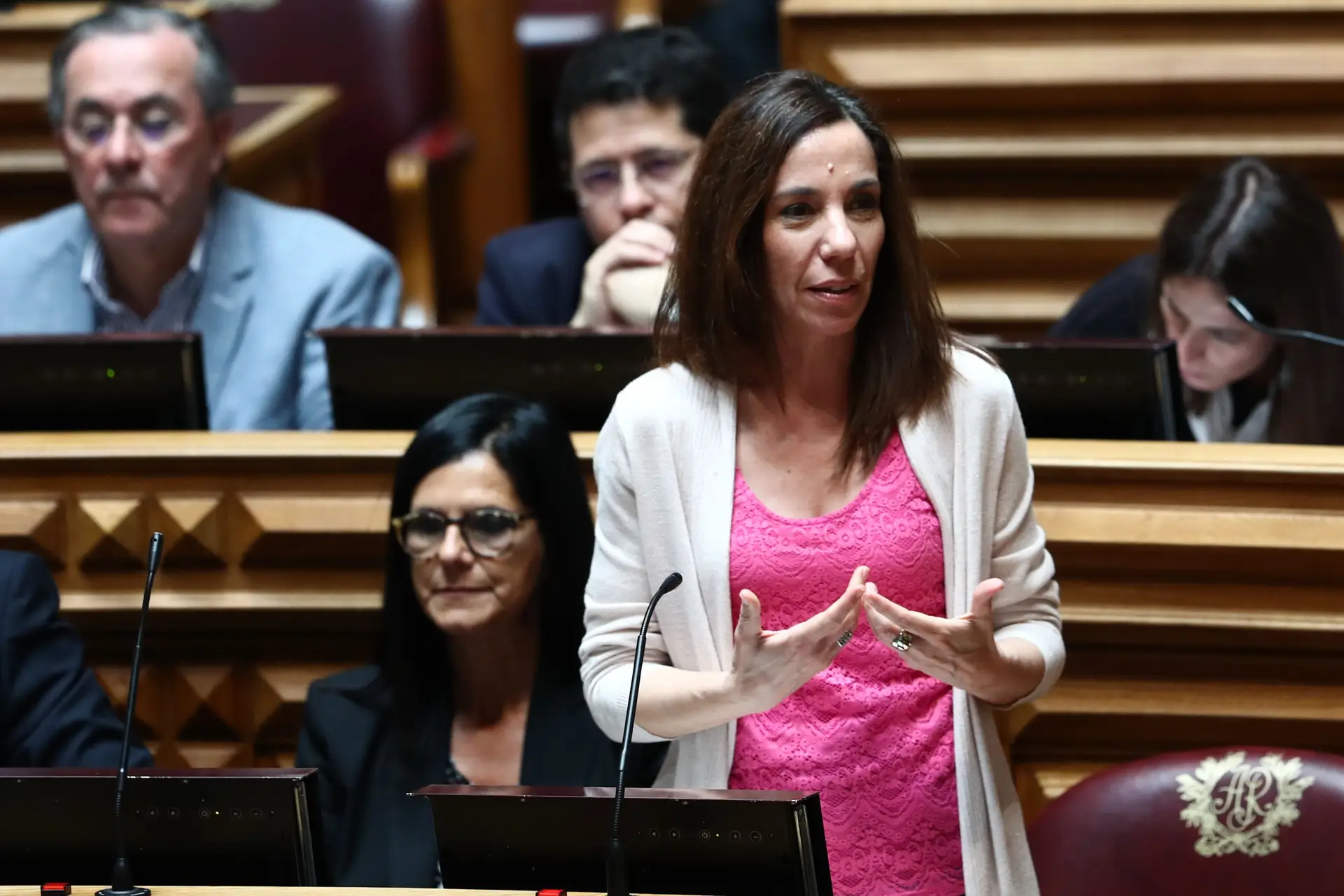 Heloísa Apolónia fora do Parlamento 24 anos depois