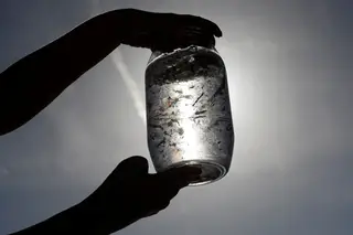 Afinal quais são os riscos para a saúde devido aos microplásticos que existem na água?