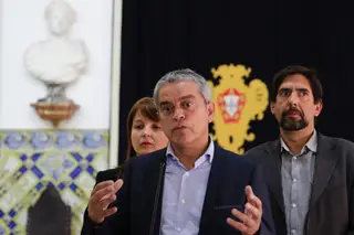 Verdes estão preocupados com Lei de Bases da Saúde