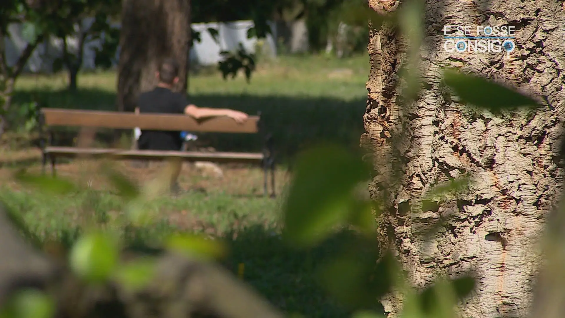 "Não há diferenças entre drogas leves e pesadas, isso é um mito"