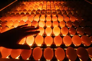 Endocrinologistas querem abrir guerra aos químicos perigosos na UE