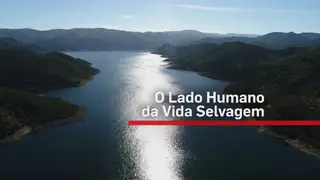 O lado humano da vida selvagem