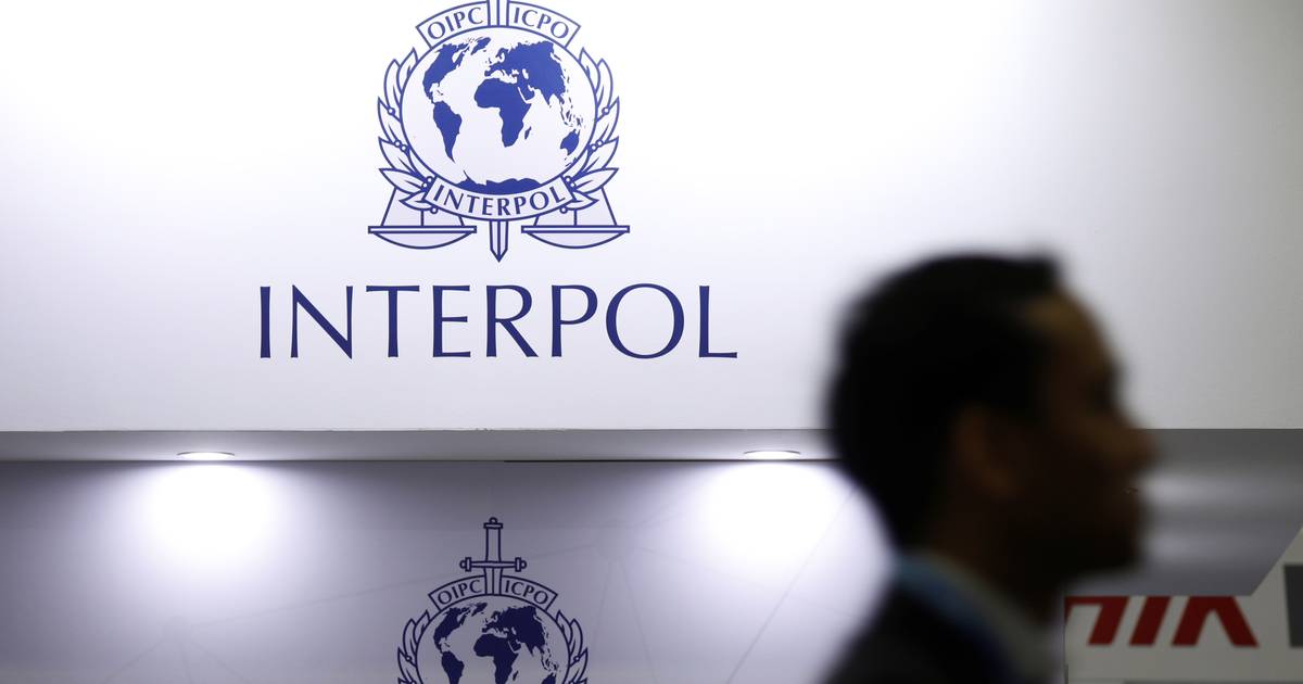 Mais de 150 pessoas detidas em operação da Interpol que incluiu Portugal