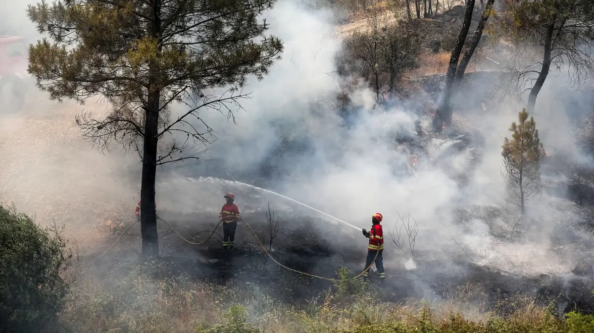 Fogo em Mação, distrito de Castelo Branco.
