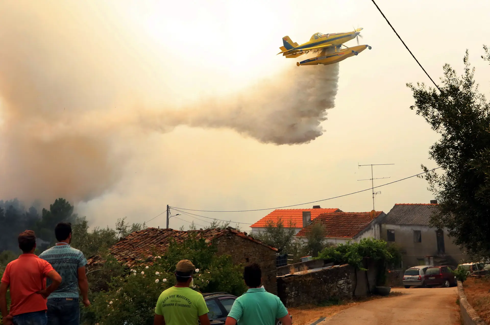 Vinte e nove concelhos de sete distritos em risco máximo de incêndio