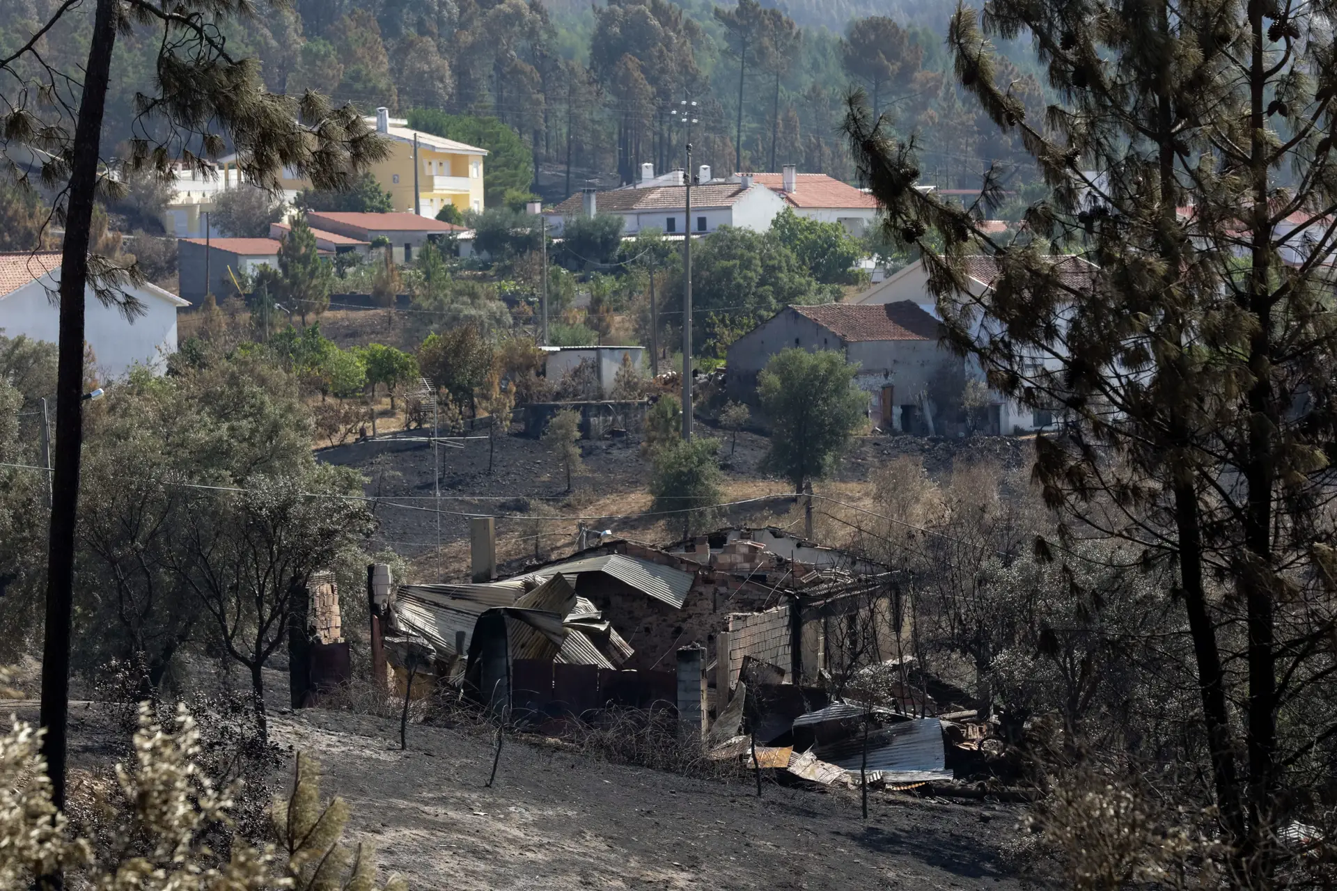Proteção Civil diz que golas antifumo não são para utilizar em incêndios