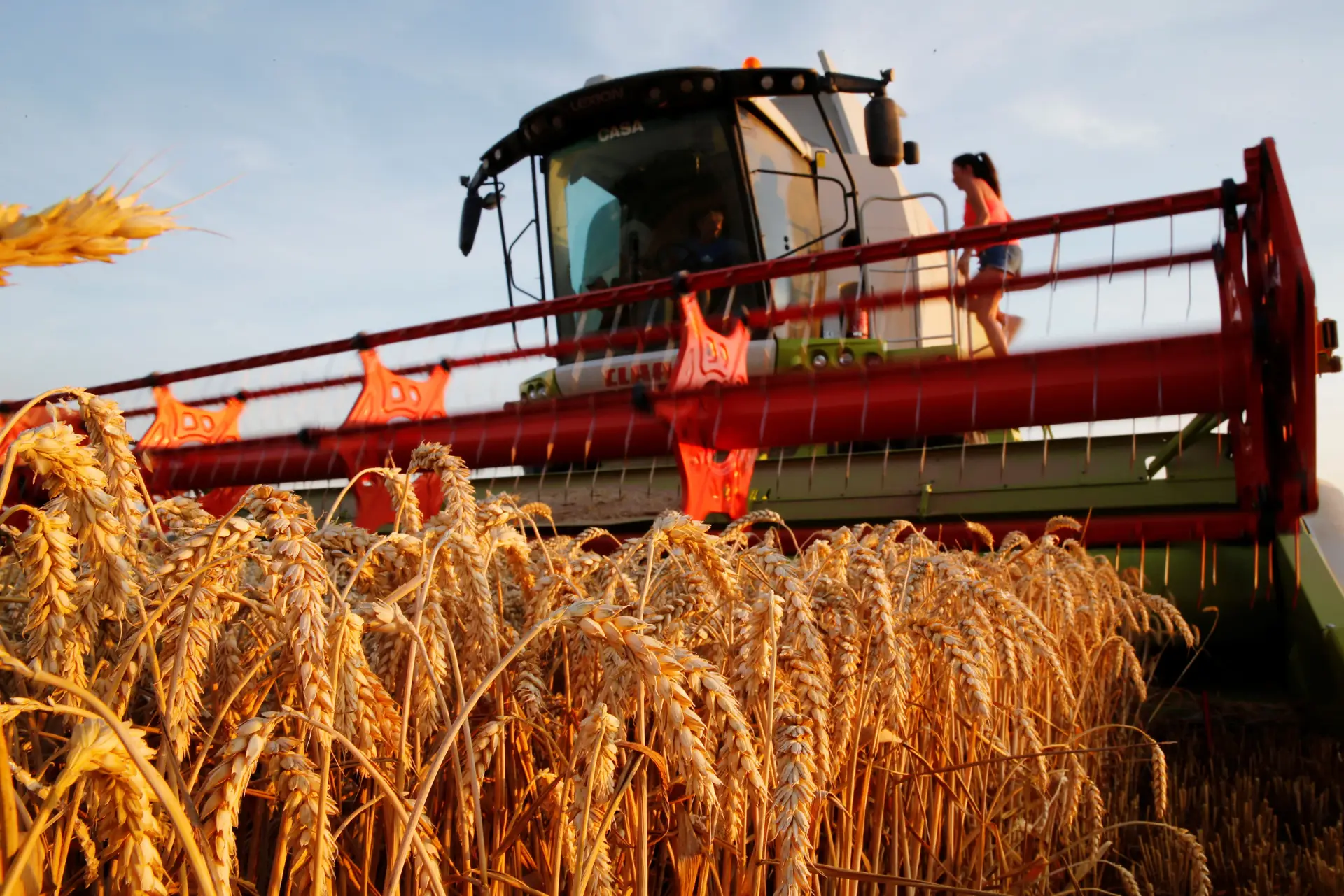 Onda de calor leva Bruxelas a reforçar apoios a agricultores europeus