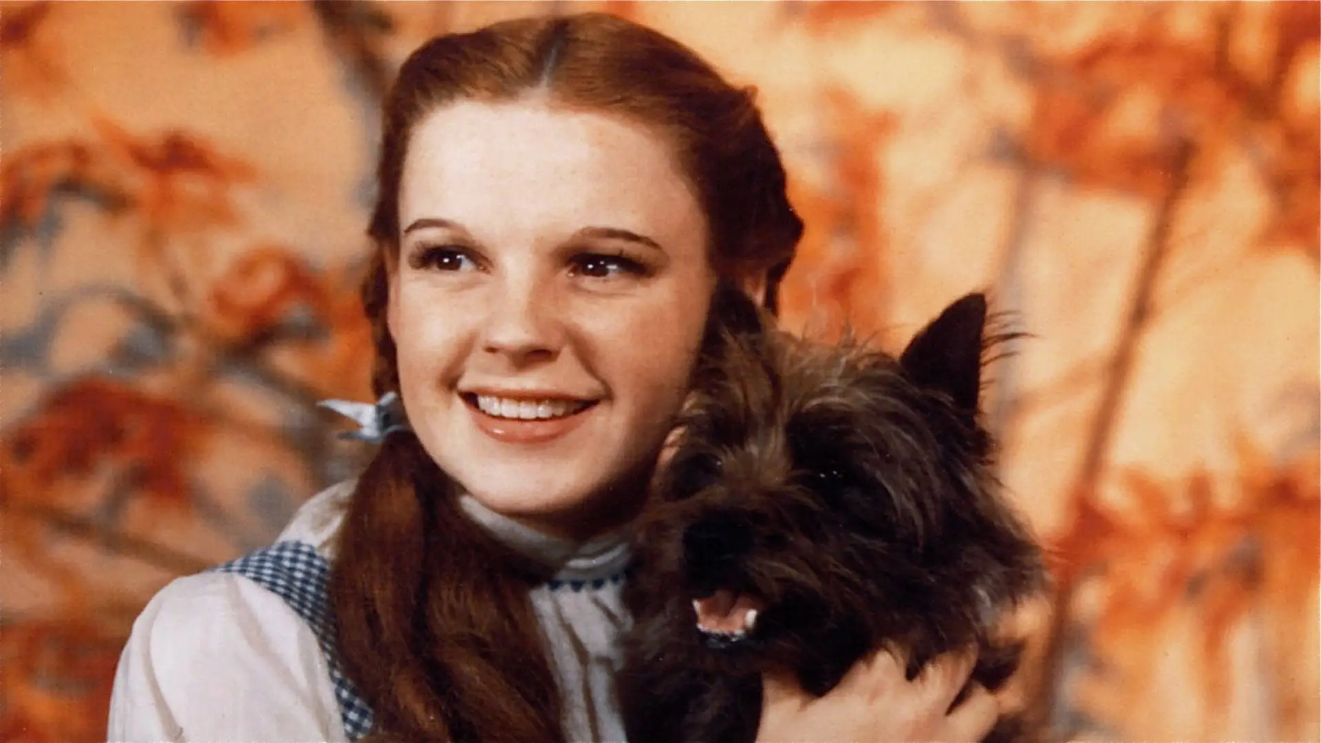 Hollywood No Tempo De Judy Garland Sic Noticias