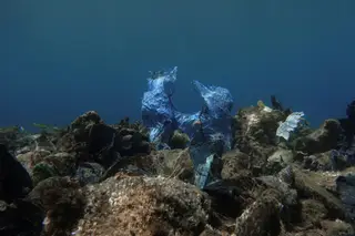 Plástico biodegradável não se decompõe após um ano no mar