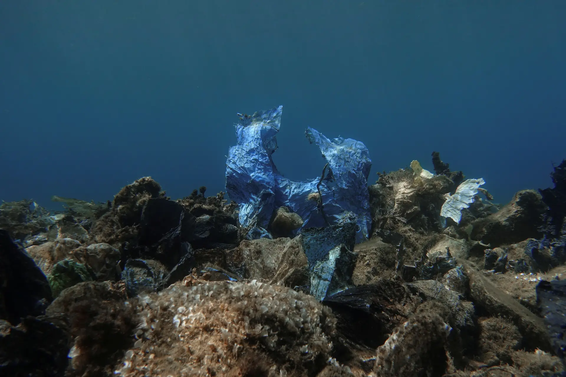 Saco de plástico no fundo do mar da ilha de Andros, Grécia