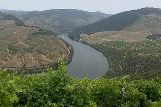 Descobrir o Douro