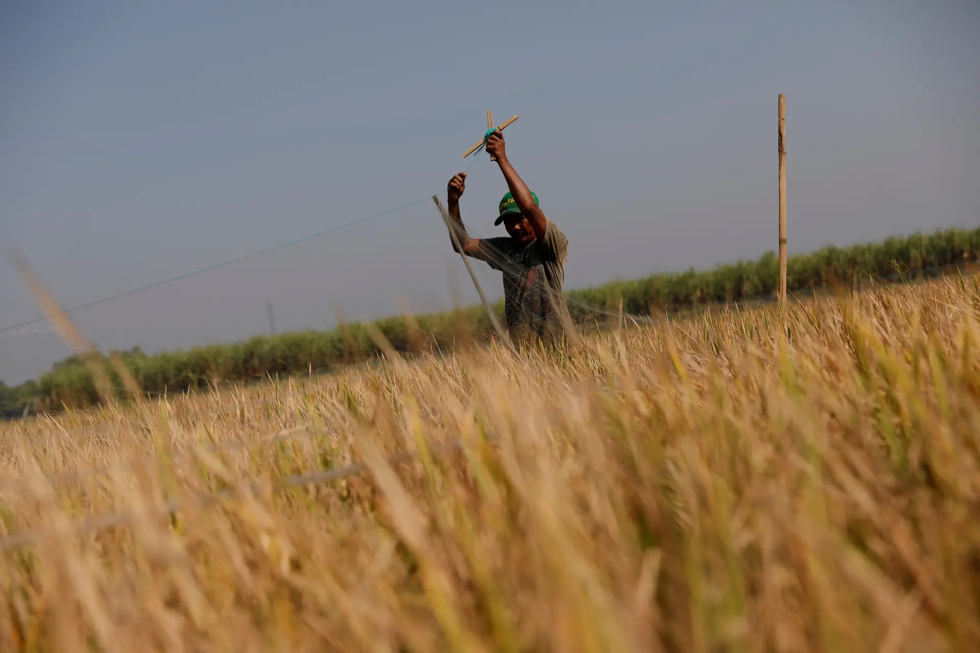 Agricultores temem falências e perdas de colheitas se greve continuar