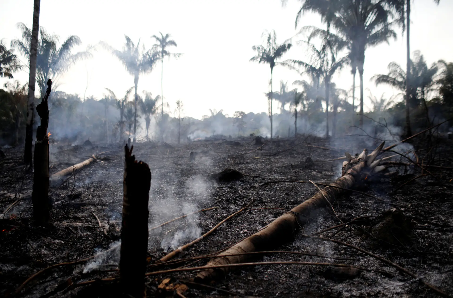 ONG brasileiras dizem que incêndios "refletem irresponsabilidade de Bolsonaro"
