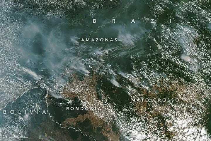 Amazónia está a arder. Imagens do espaço mostram dimensão dos incêndios