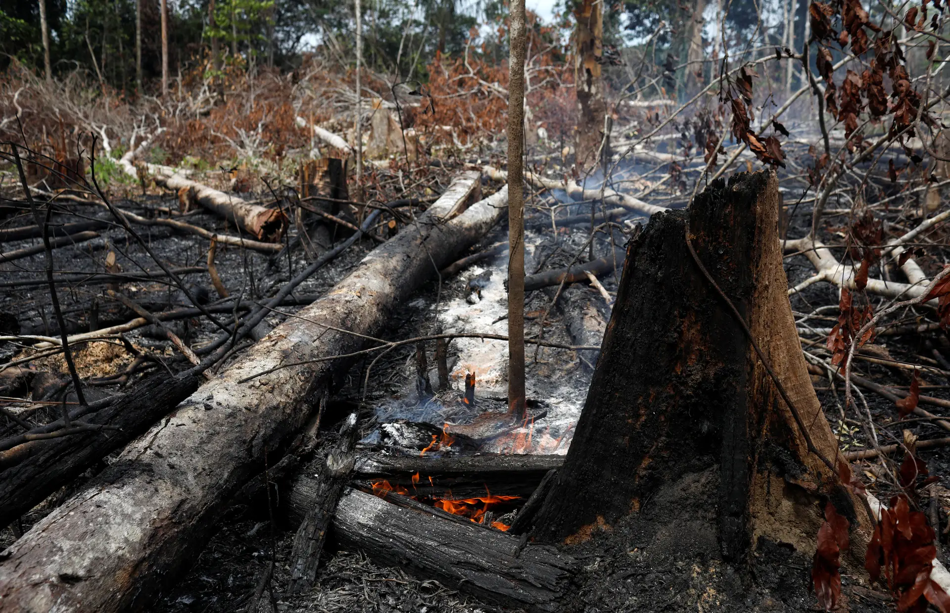 Amnistia Internacional responsabiliza Bolsonaro pelos incêndios na Amazónia