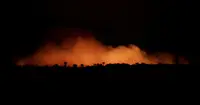 Incêndios na Amazónia