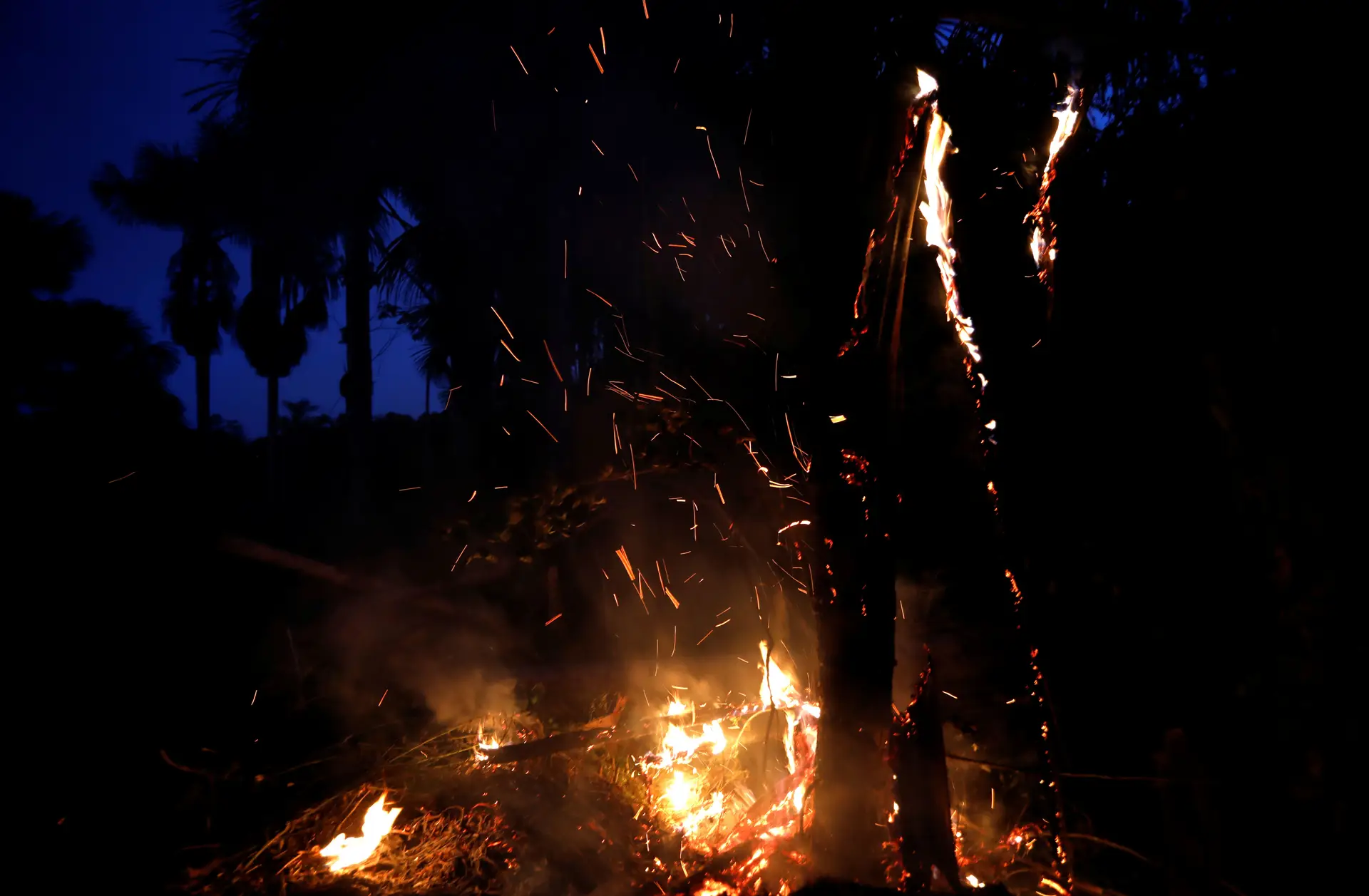 Governo brasileiro minimiza dimensão dos incêndios no país